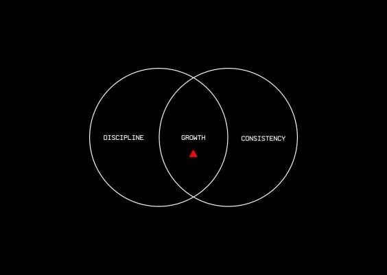 Importance of Discipline and Consistency